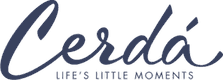 Grupo Cerdá
